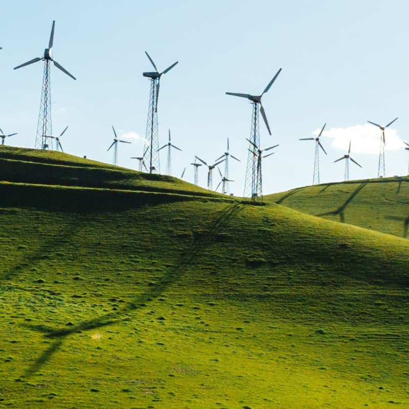Meet your organization's sustainability initiatives