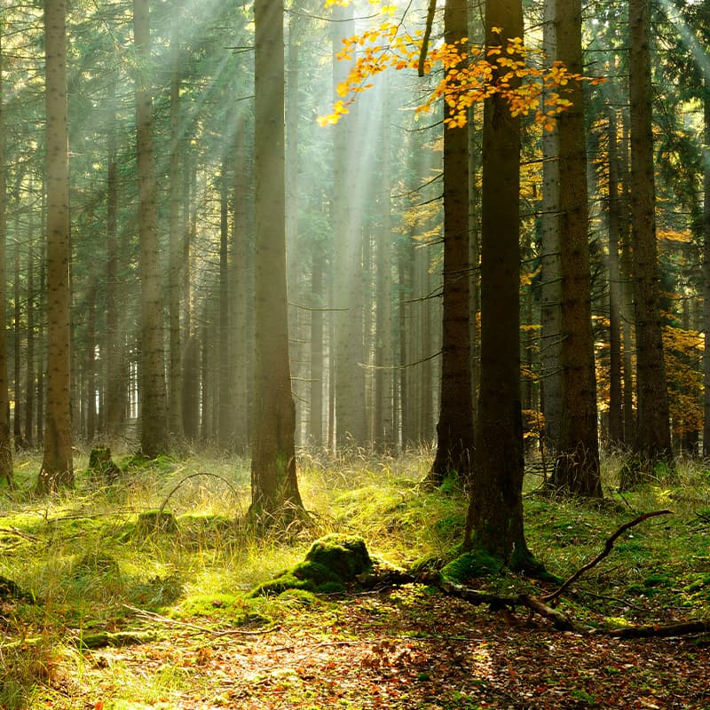 Environmentally conscious design