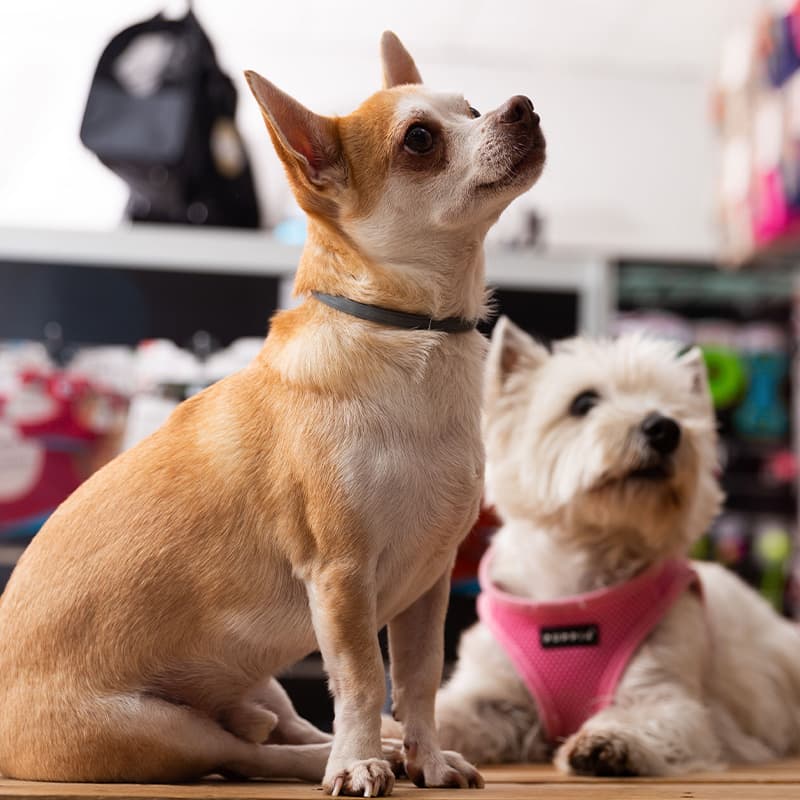 $12M+ in coupons recovered